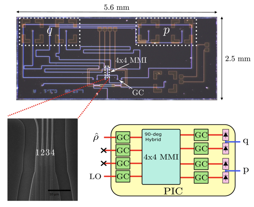 High-speed source-device-independent quantum random number generator on a chip